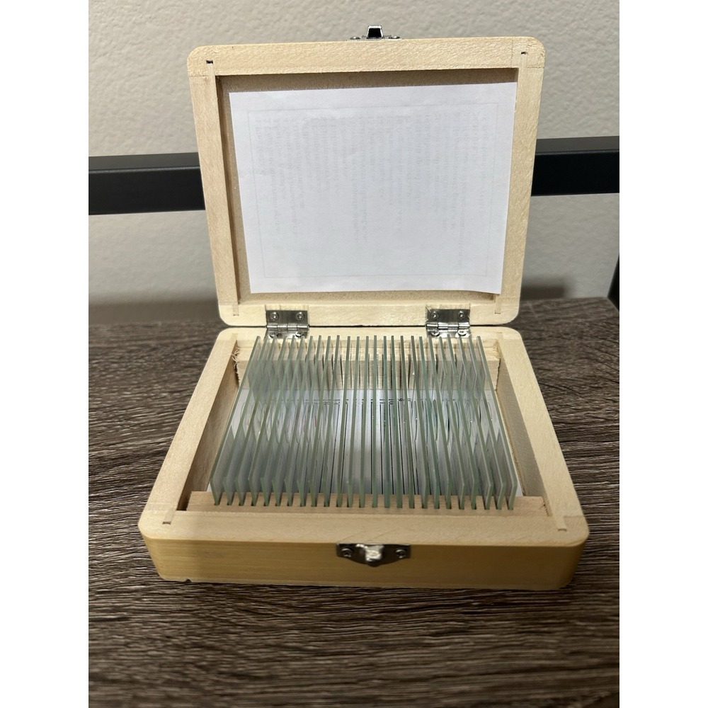 AmScope 25 Prepared Microscope Glass Slides With Wooden Box Specimens Microbio